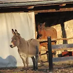 Casa rural Dagnano Basso