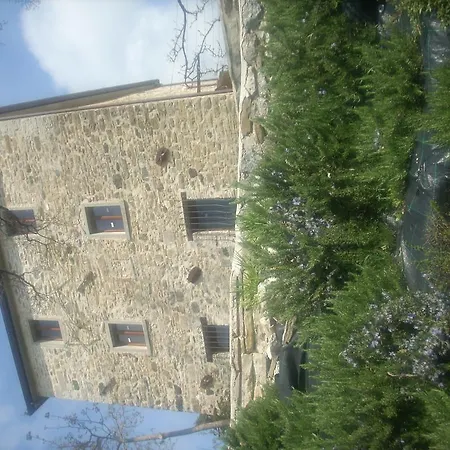 Dagnano Basso *