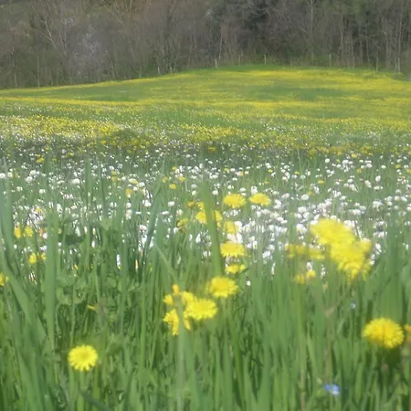 Εξοχικό σπίτι Dagnano Basso Pieve Santo Stefano