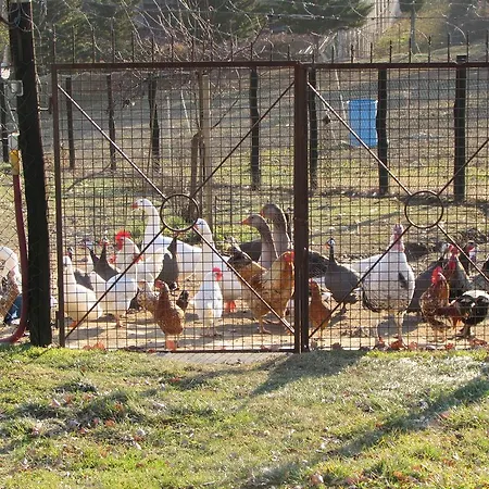 Dagnano Basso * Pieve Santo Stefano